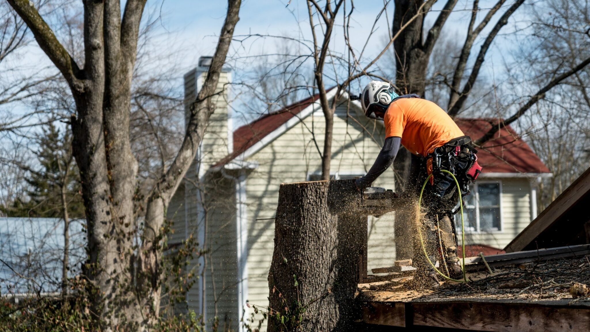 Que dit la loi sur l’élagage ou l’abattage des arbres